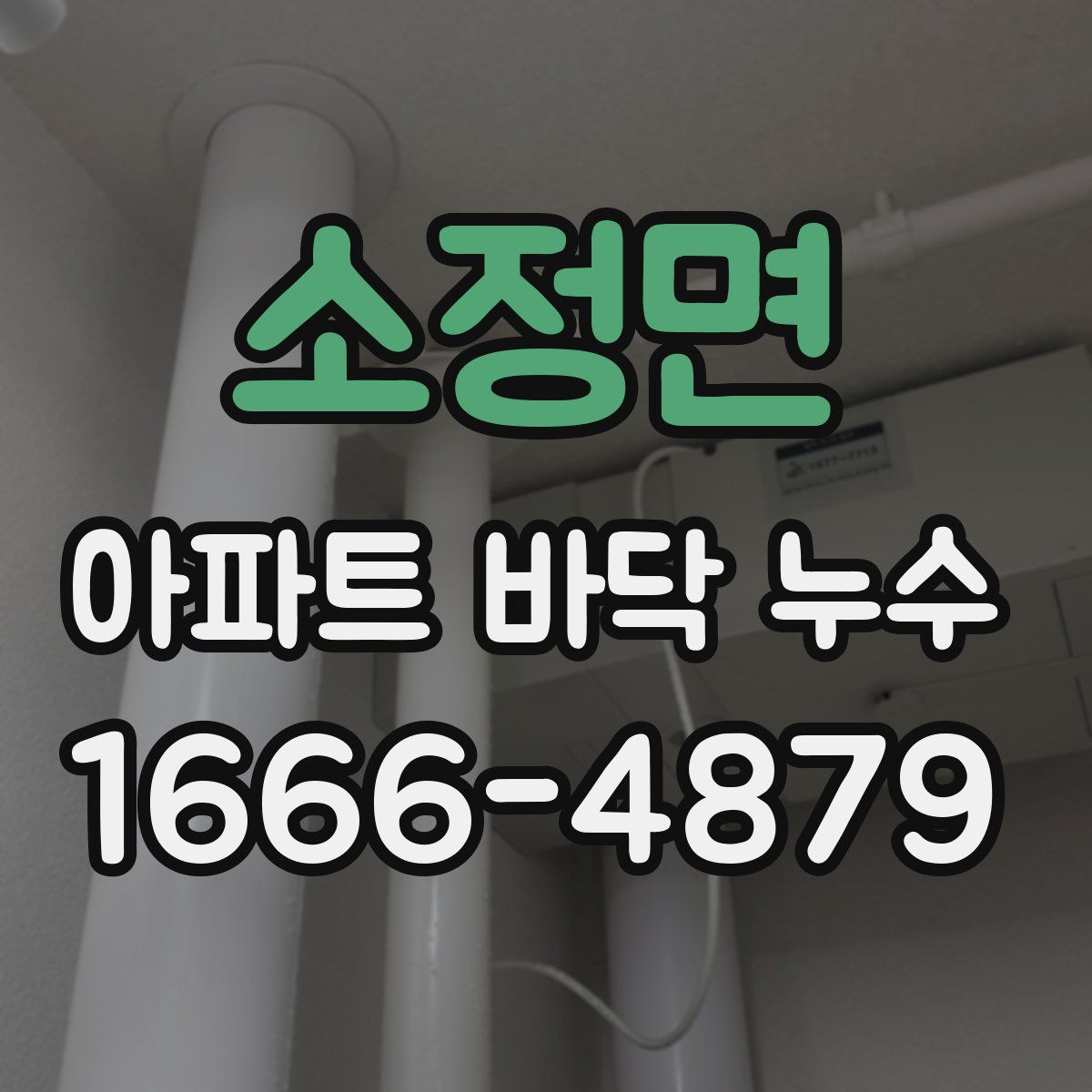 소정면 아파트 바닥 누수