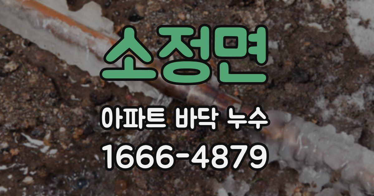 소정면 아파트 바닥 누수