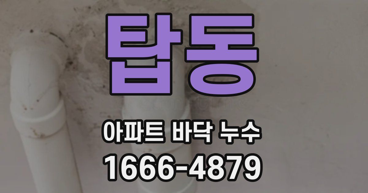 탑동 아파트 바닥 누수