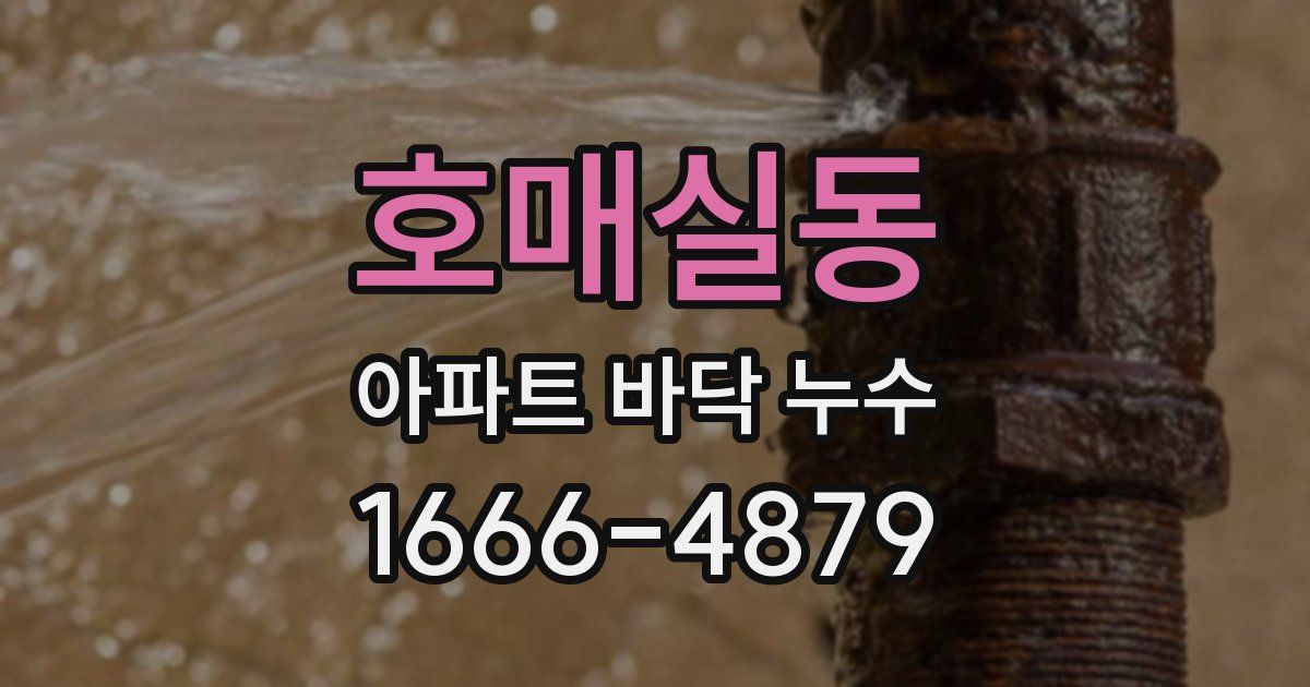 호매실동 아파트 바닥 누수