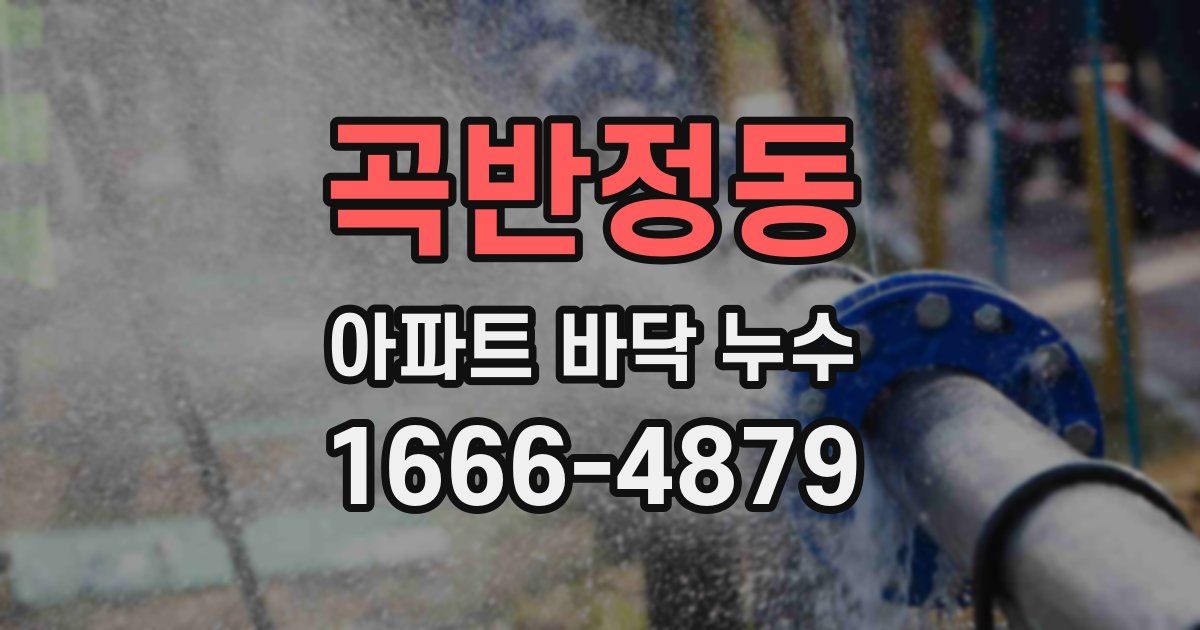 곡반정동 아파트 바닥 누수