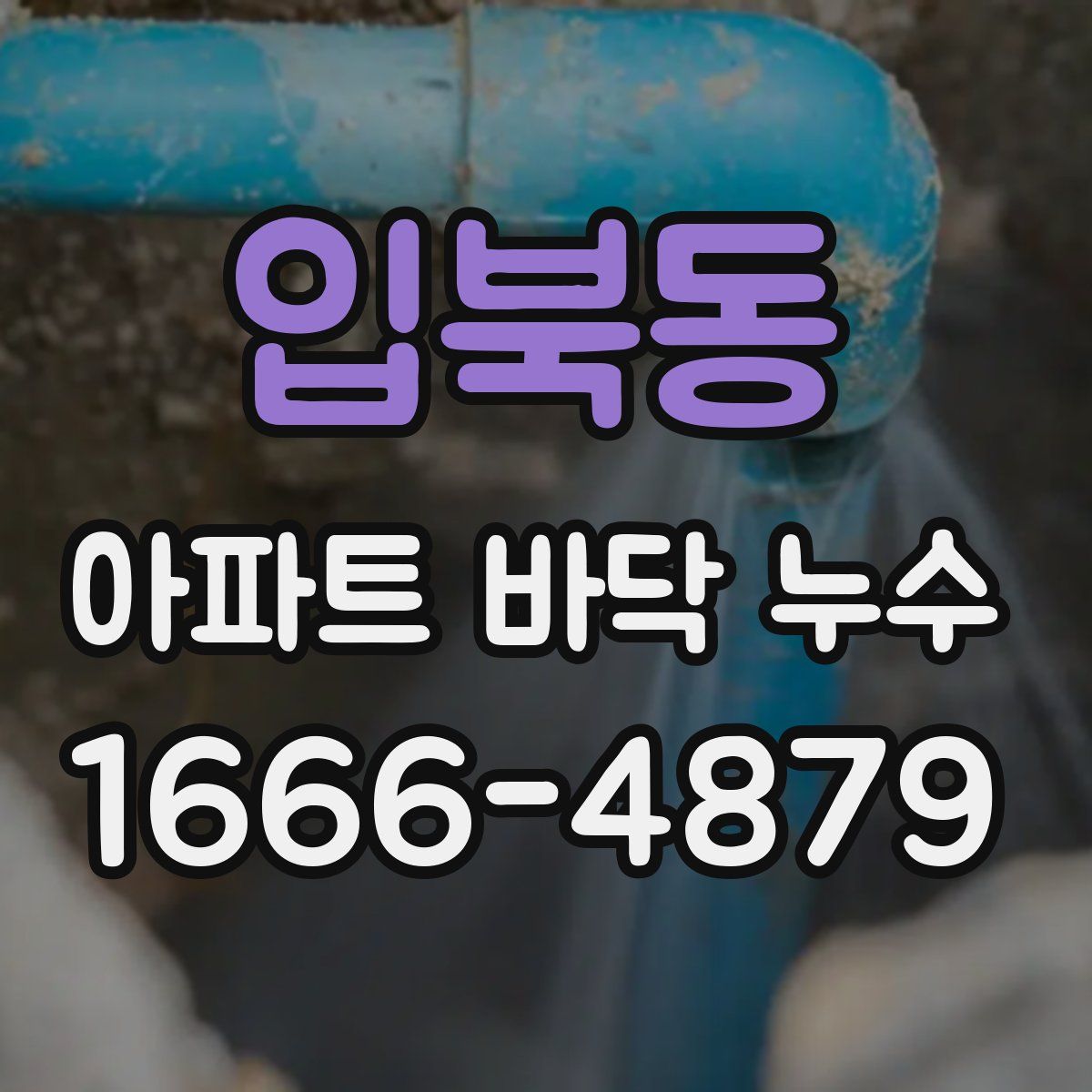 입북동 아파트 바닥 누수