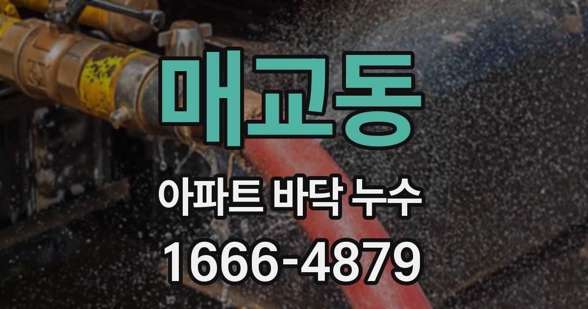 매교동 아파트 바닥 누수