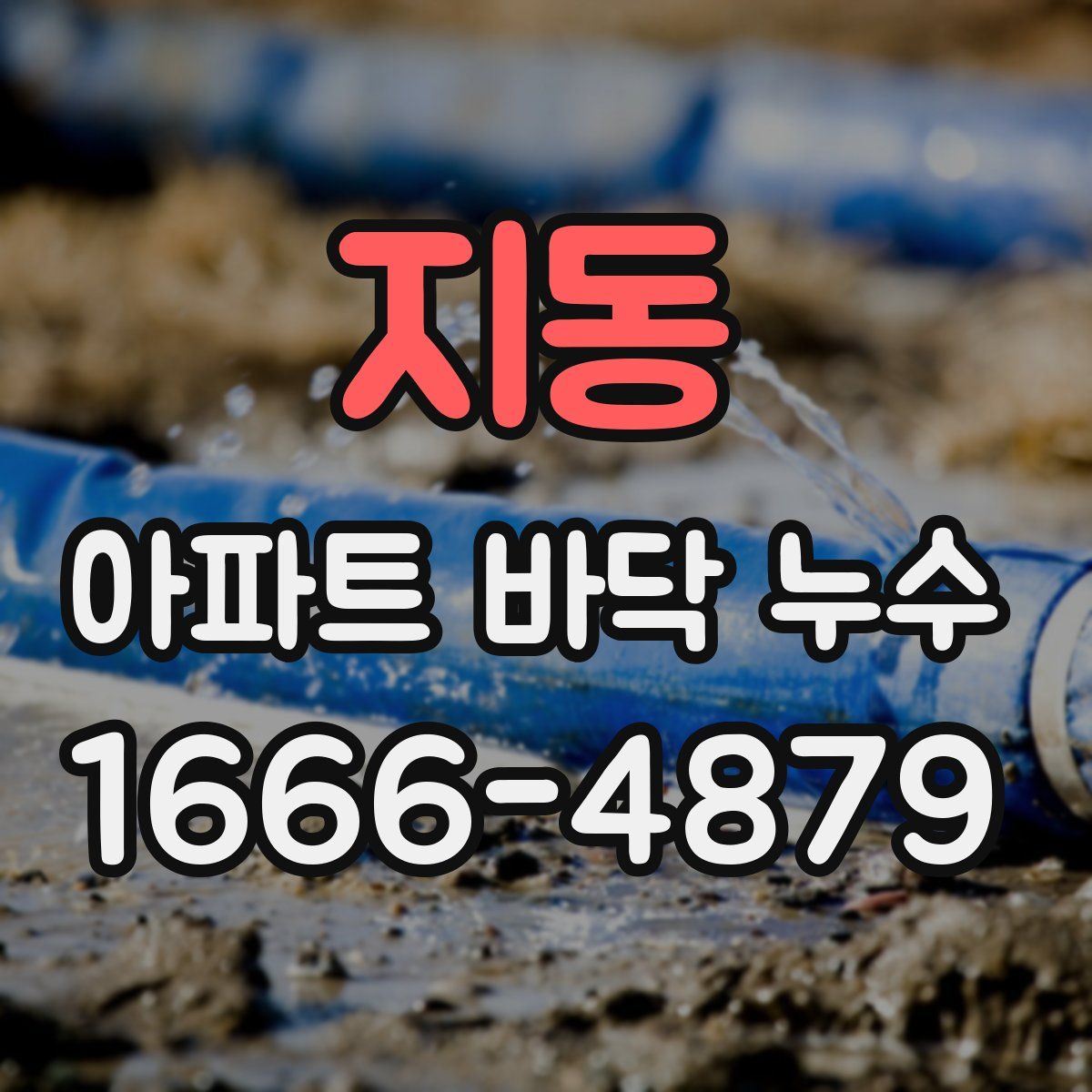 지동 아파트 바닥 누수