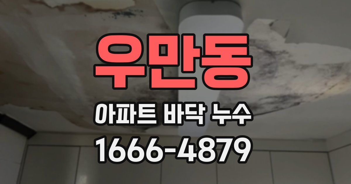 우만동 아파트 바닥 누수