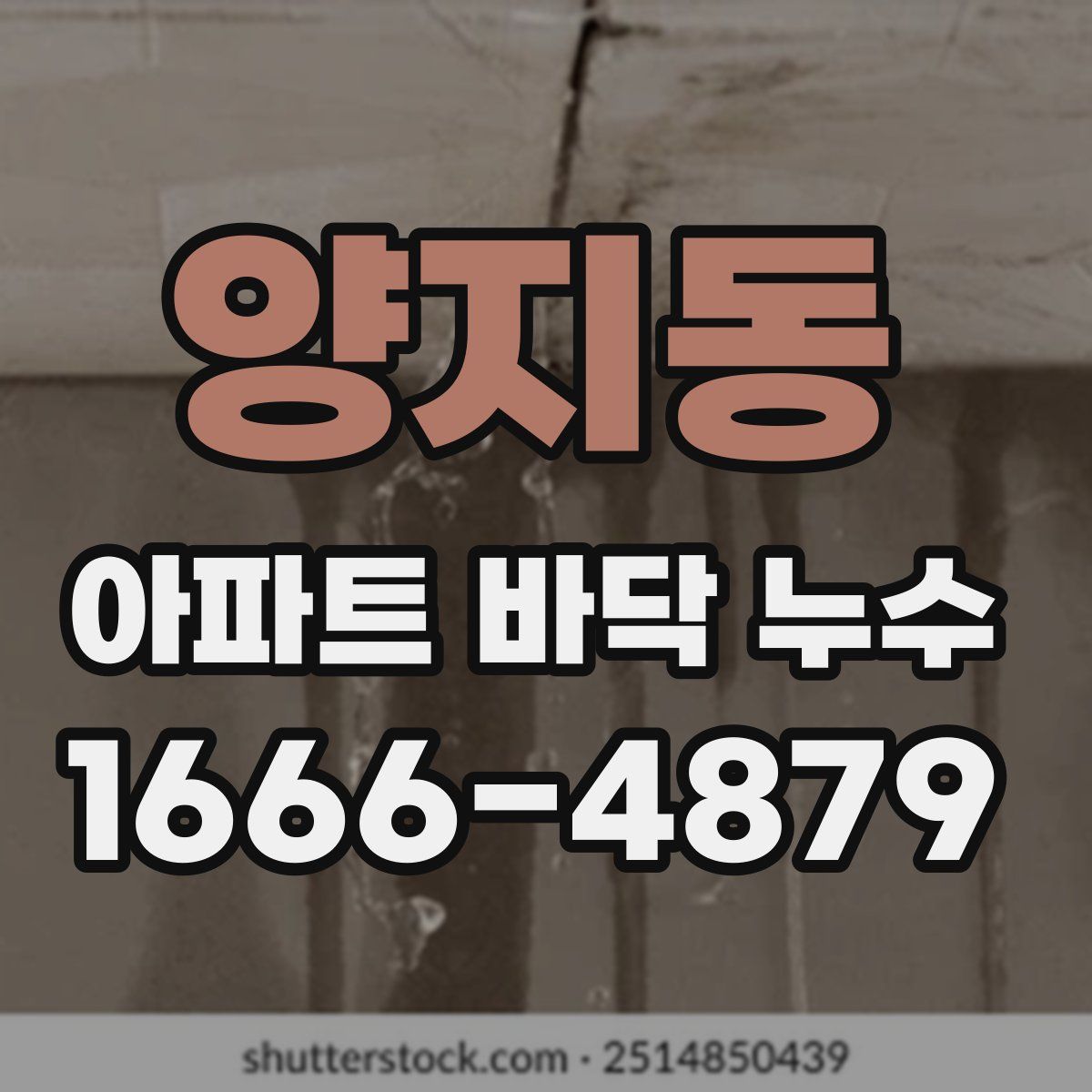 양지동 아파트 바닥 누수