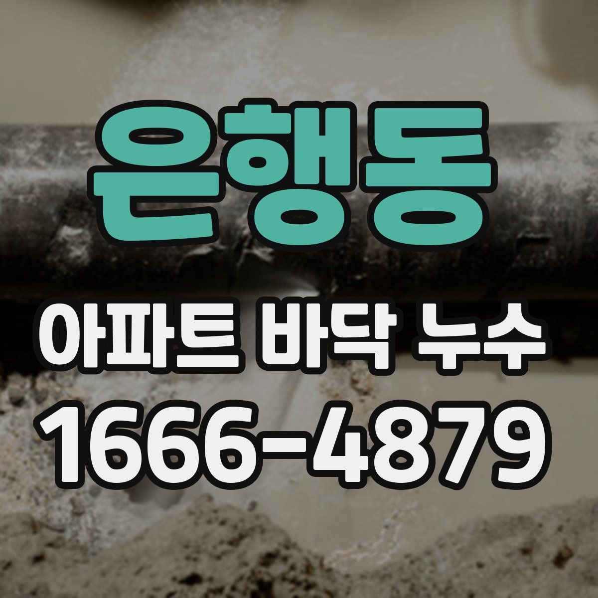 은행동 아파트 바닥 누수