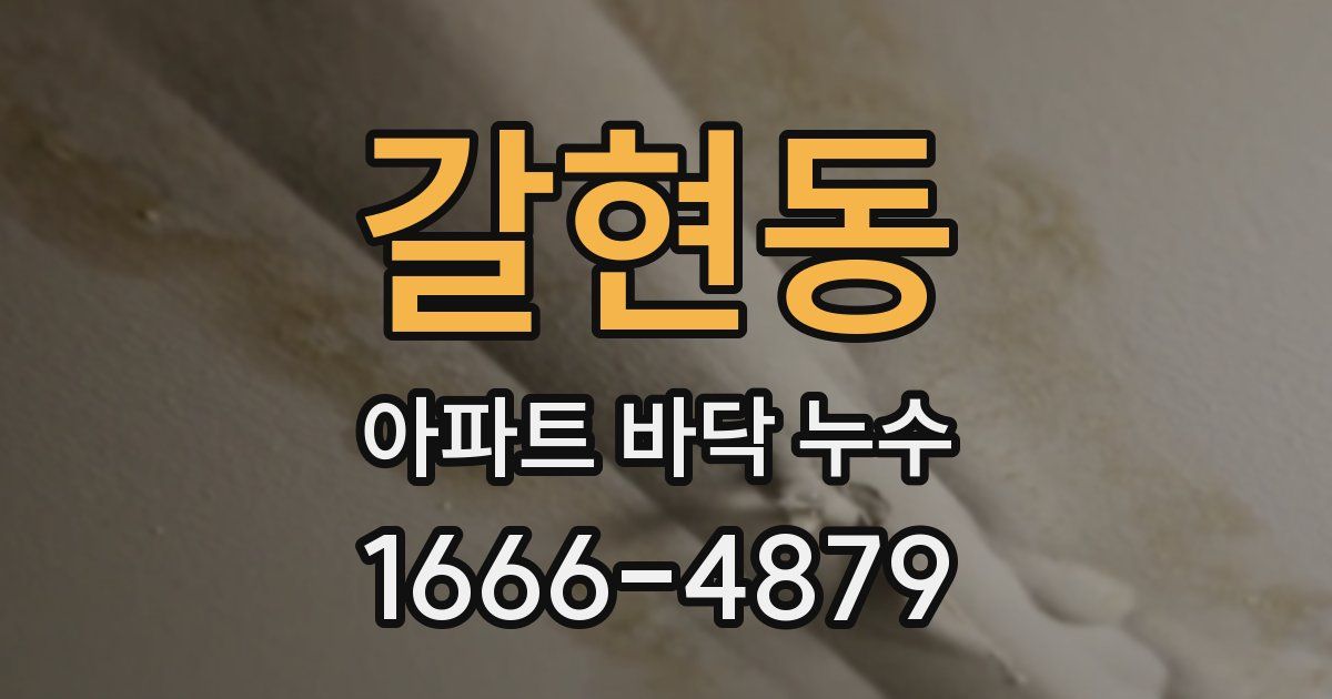 갈현동 아파트 바닥 누수
