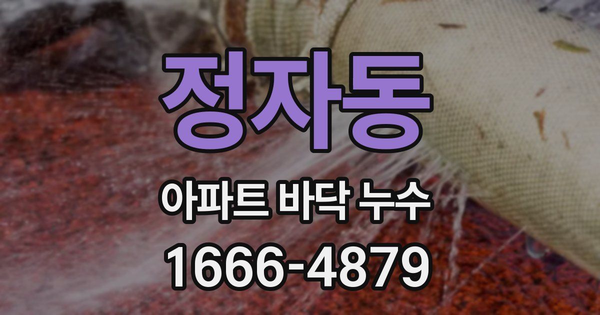 정자동 아파트 바닥 누수