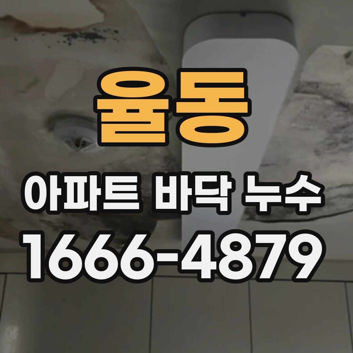 율동 아파트 바닥 누수