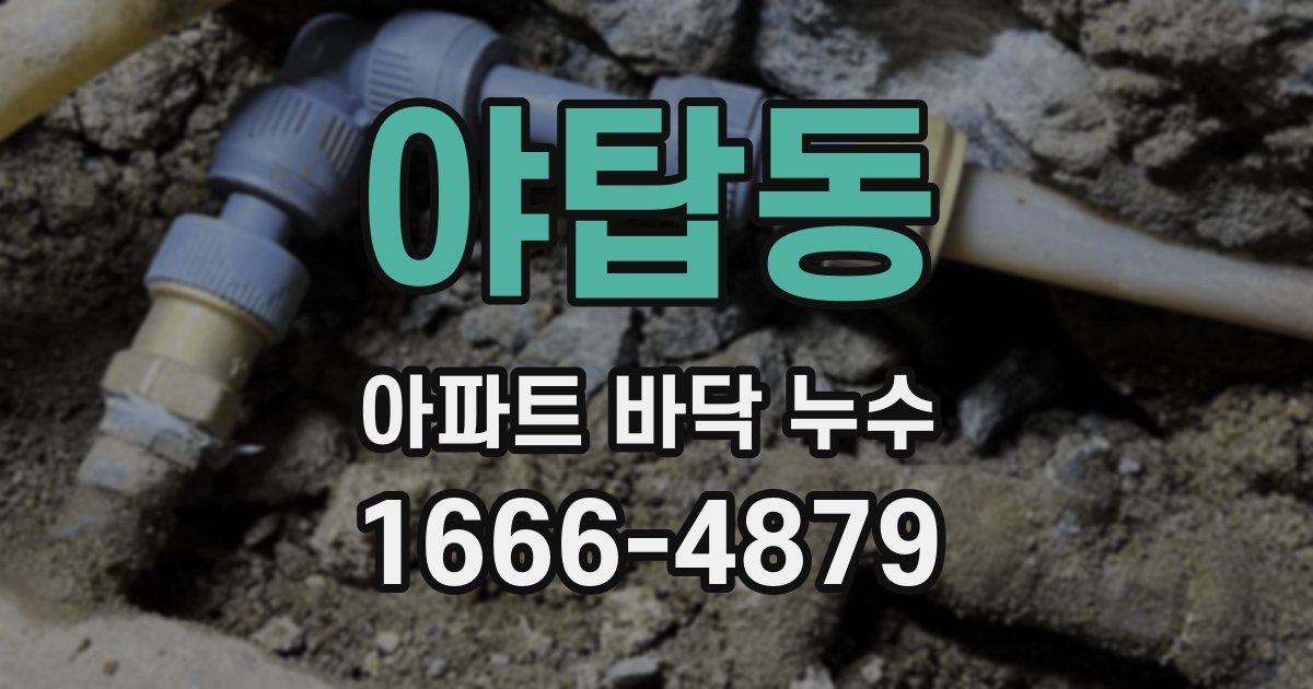 야탑동 아파트 바닥 누수