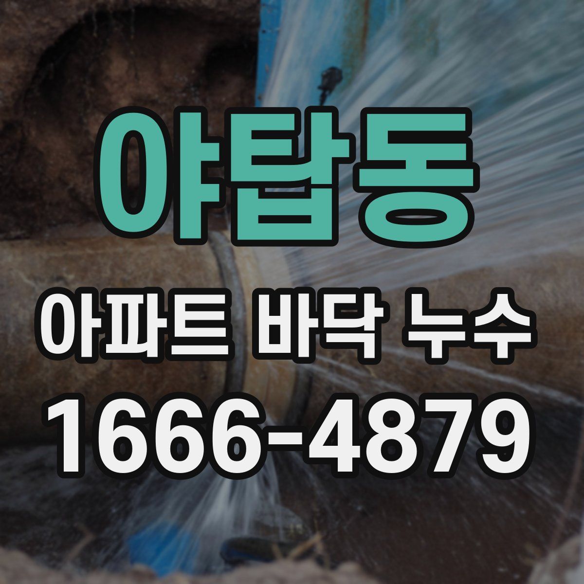 야탑동 아파트 바닥 누수