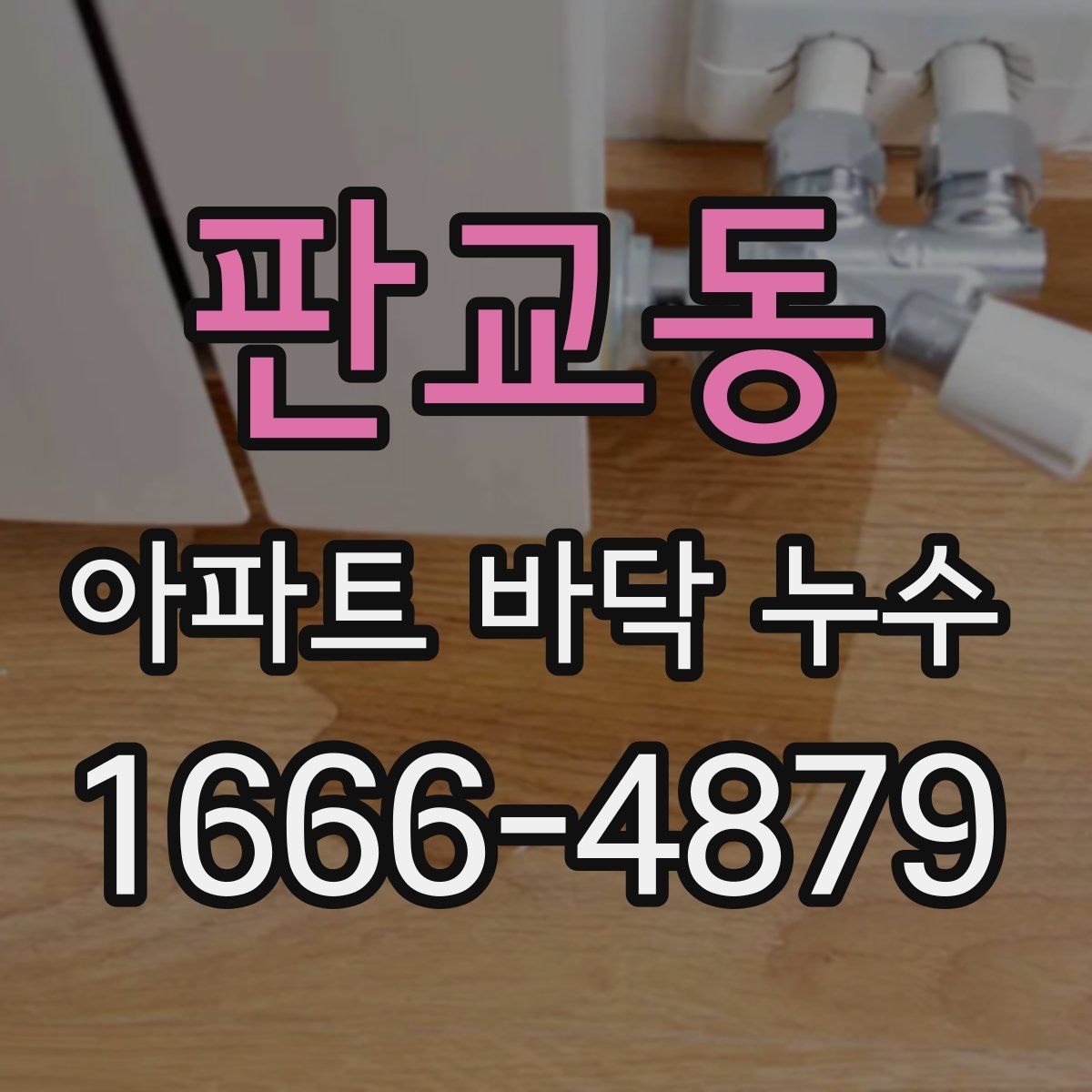 판교동 아파트 바닥 누수