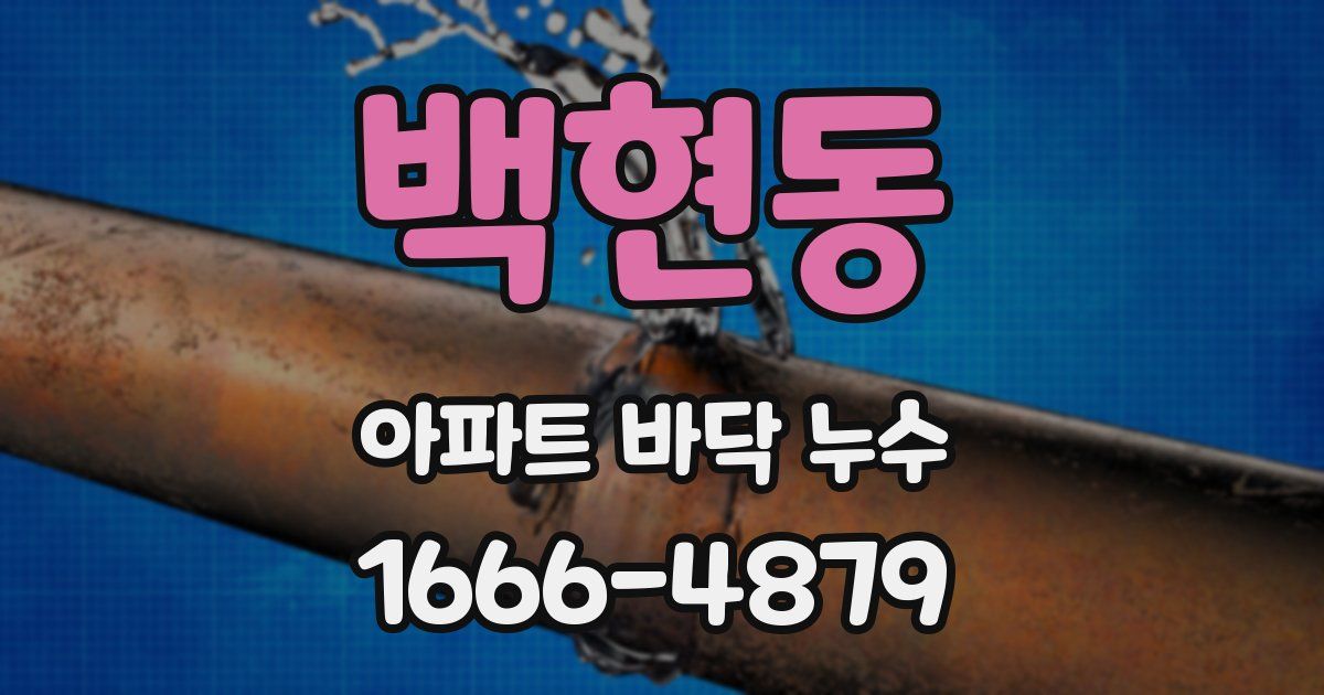 백현동 아파트 바닥 누수