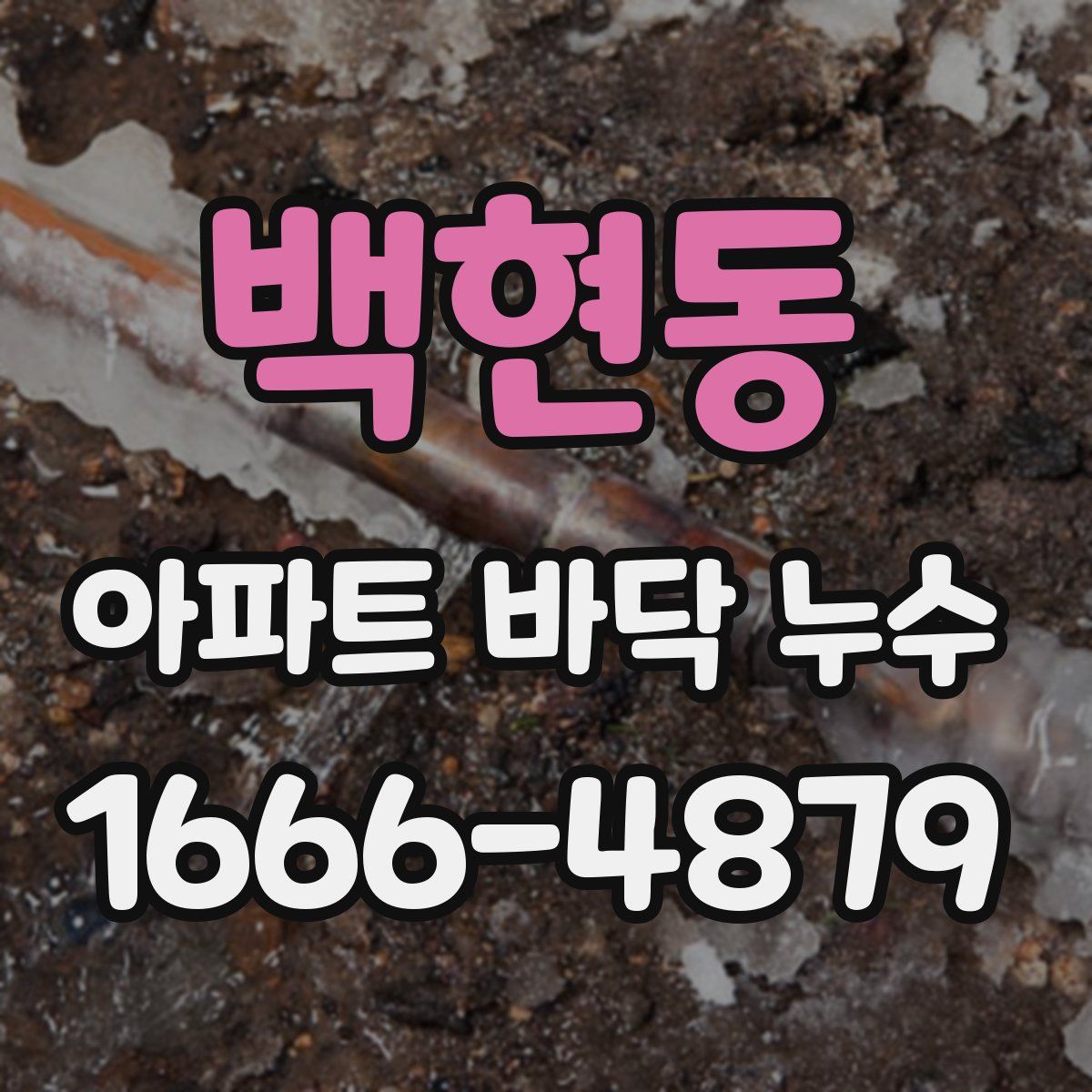 백현동 아파트 바닥 누수