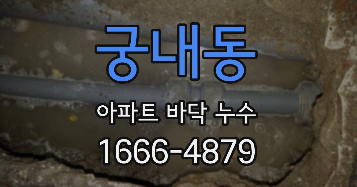 궁내동 아파트 바닥 누수