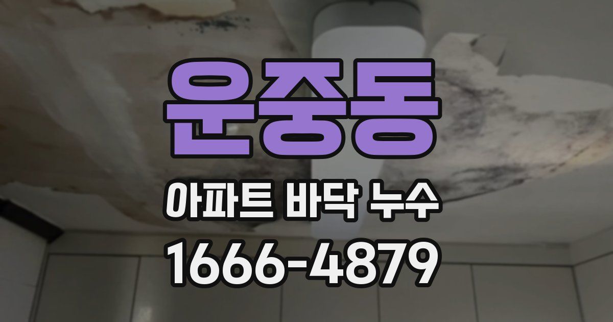 운중동 아파트 바닥 누수