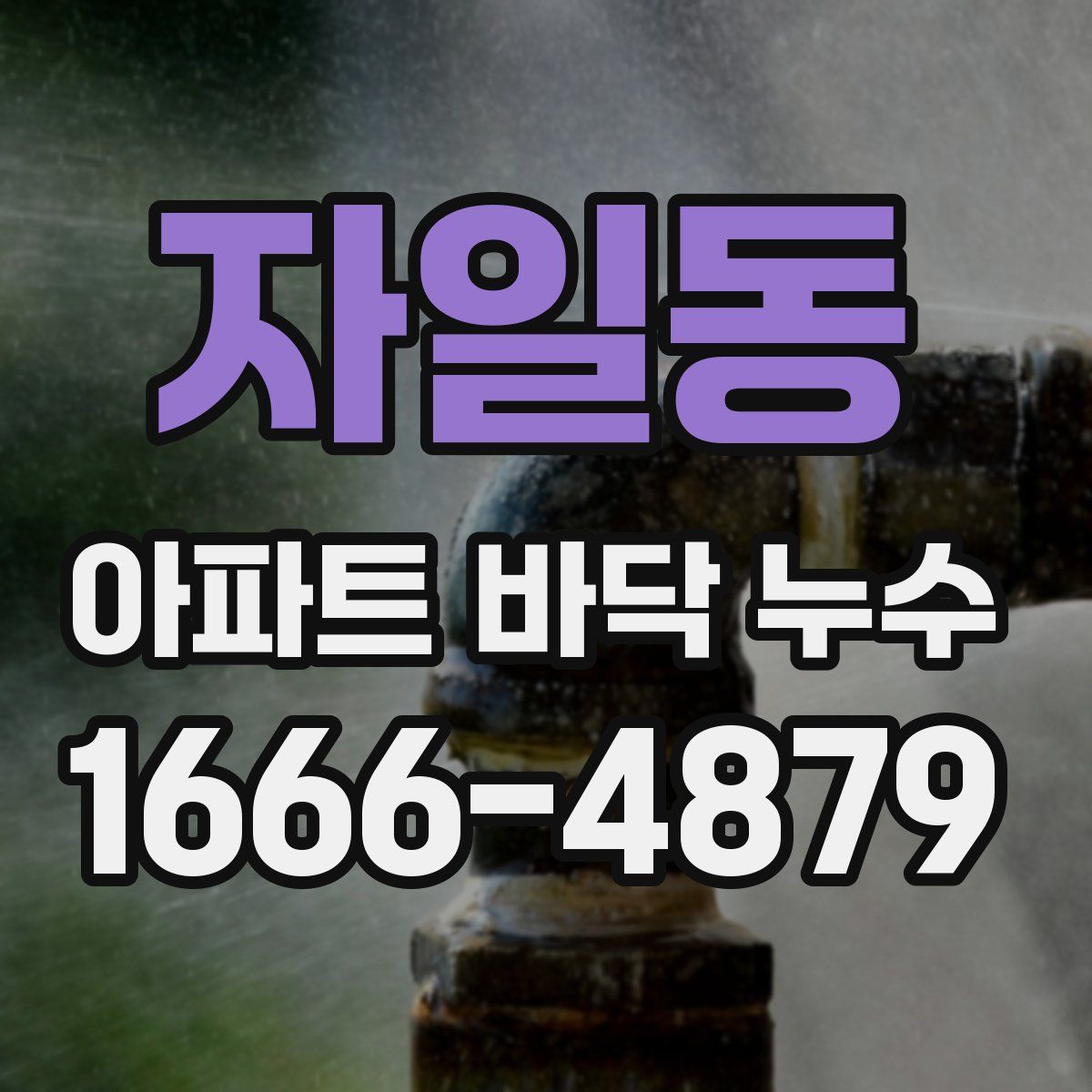 자일동 아파트 바닥 누수