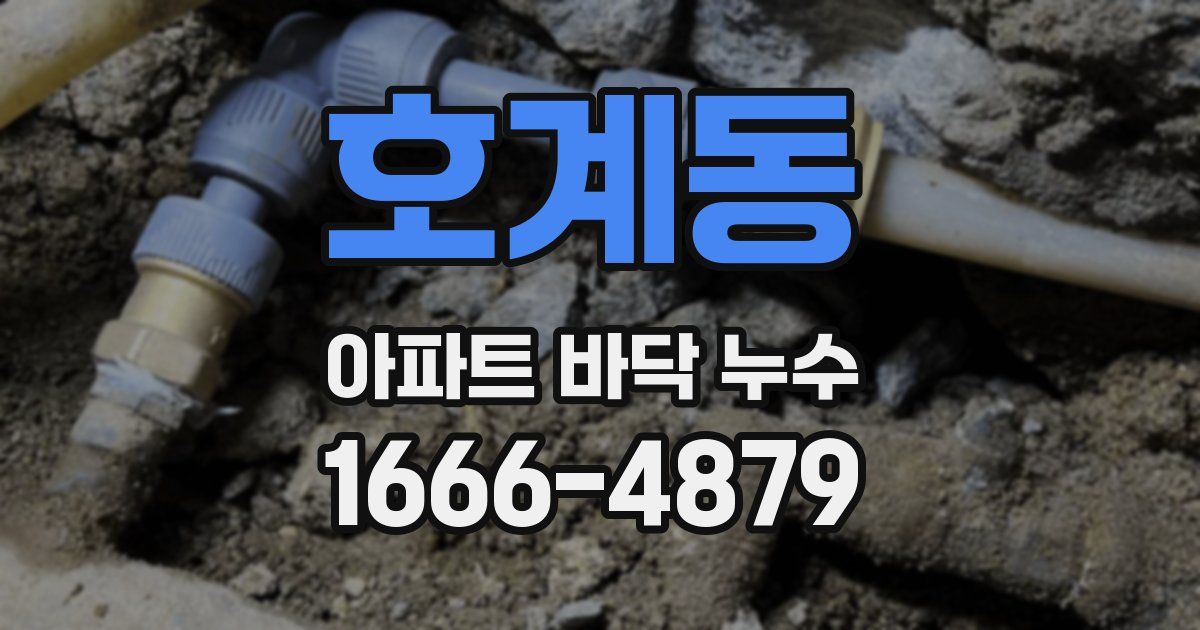 호계동 아파트 바닥 누수