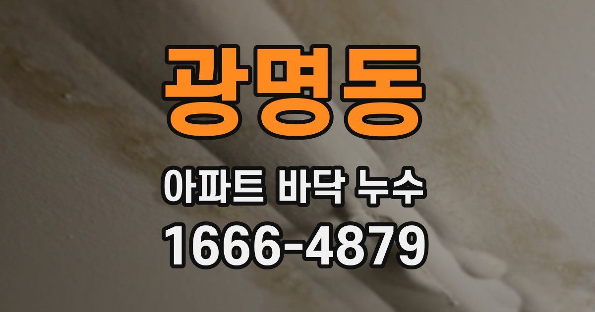 광명동 아파트 바닥 누수