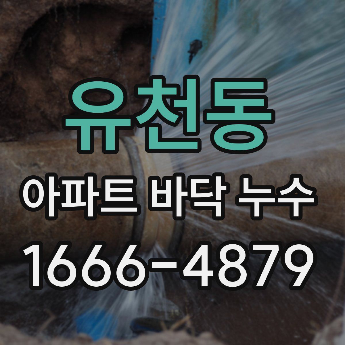 유천동 아파트 바닥 누수