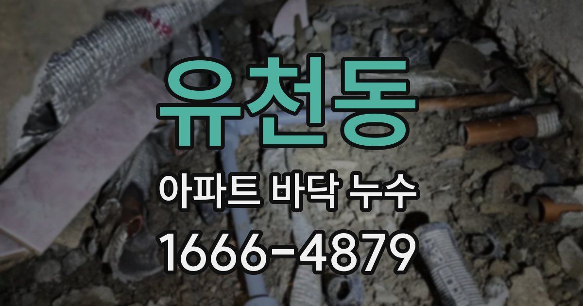 유천동 아파트 바닥 누수