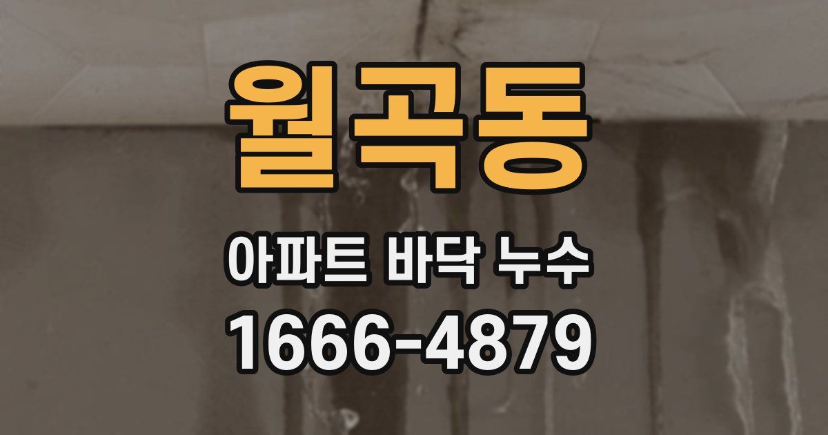 월곡동 아파트 바닥 누수