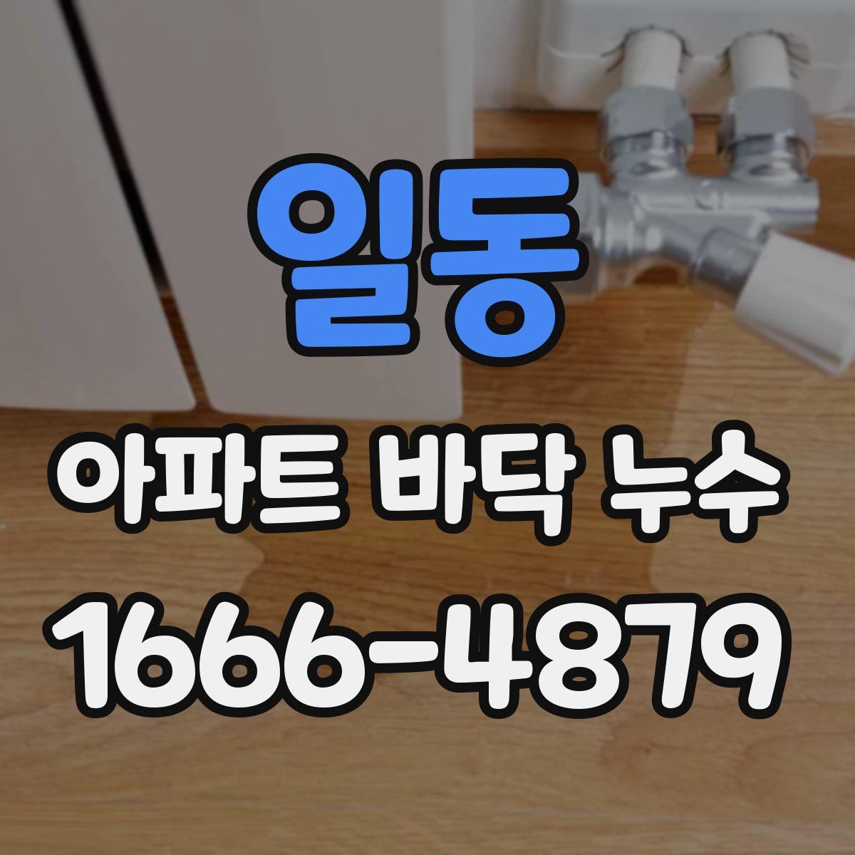 일동 아파트 바닥 누수