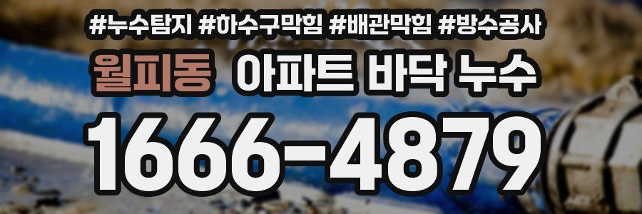 월피동 아파트 바닥 누수