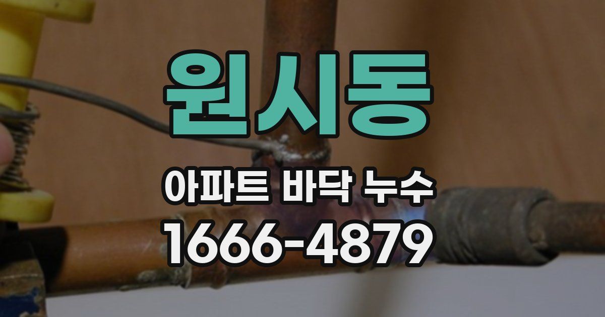 원시동 아파트 바닥 누수