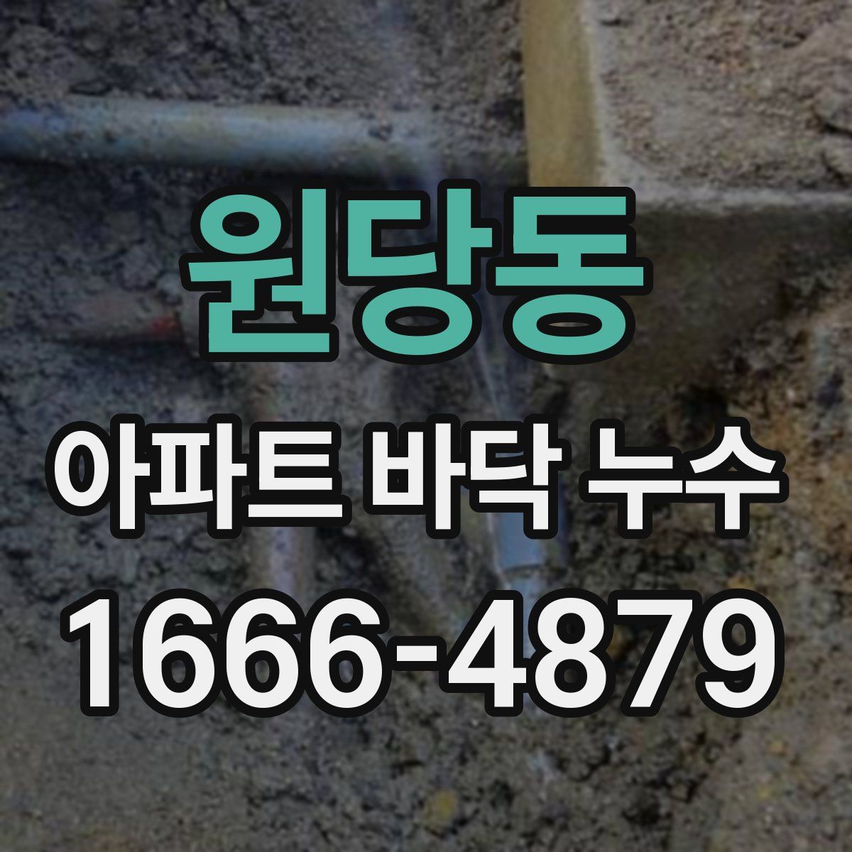 원당동 아파트 바닥 누수