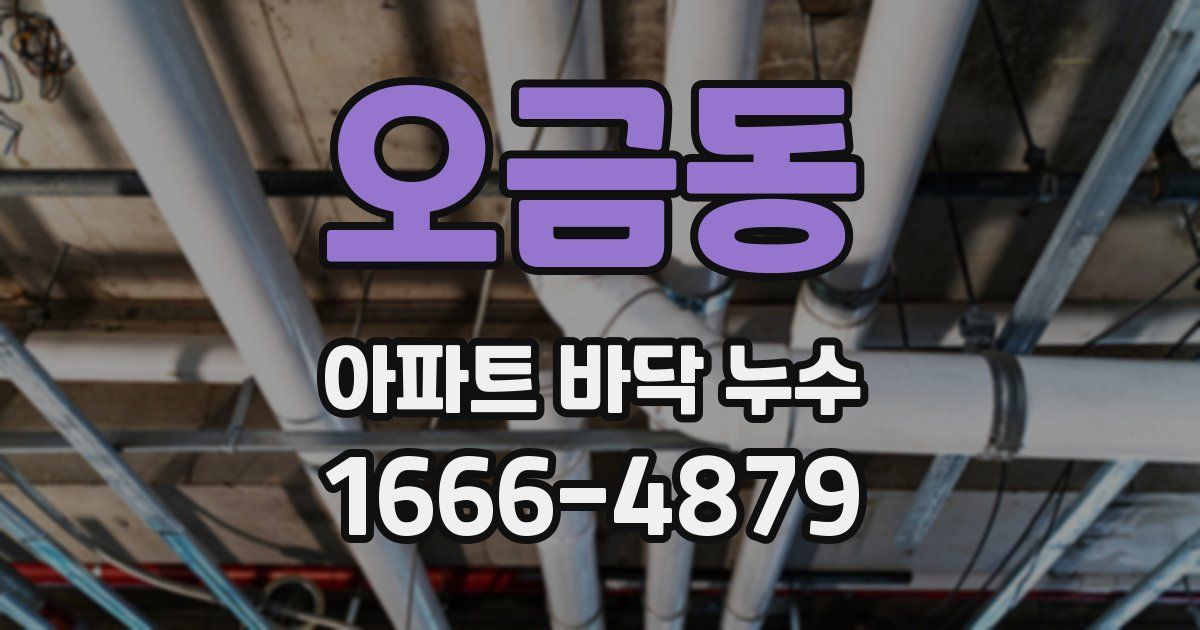 오금동 아파트 바닥 누수