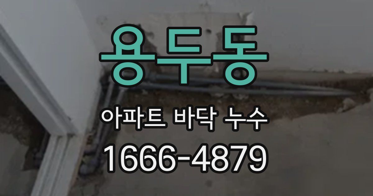 용두동 아파트 바닥 누수