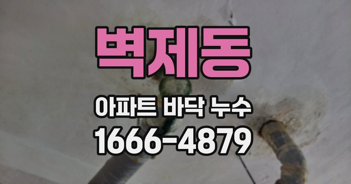벽제동 아파트 바닥 누수