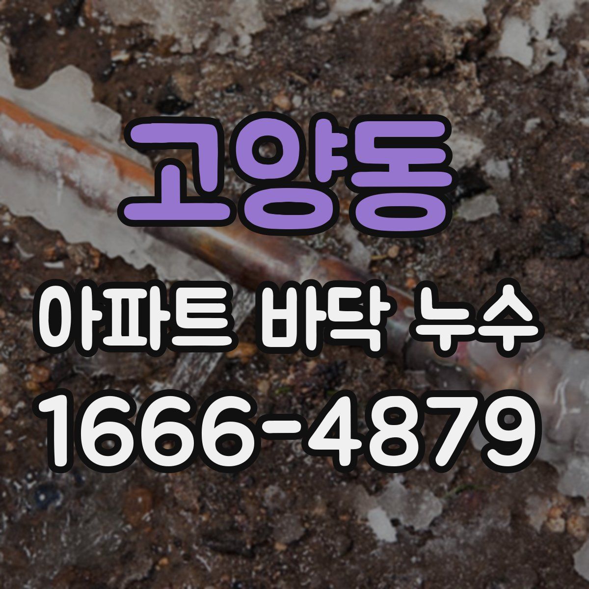 고양동 아파트 바닥 누수