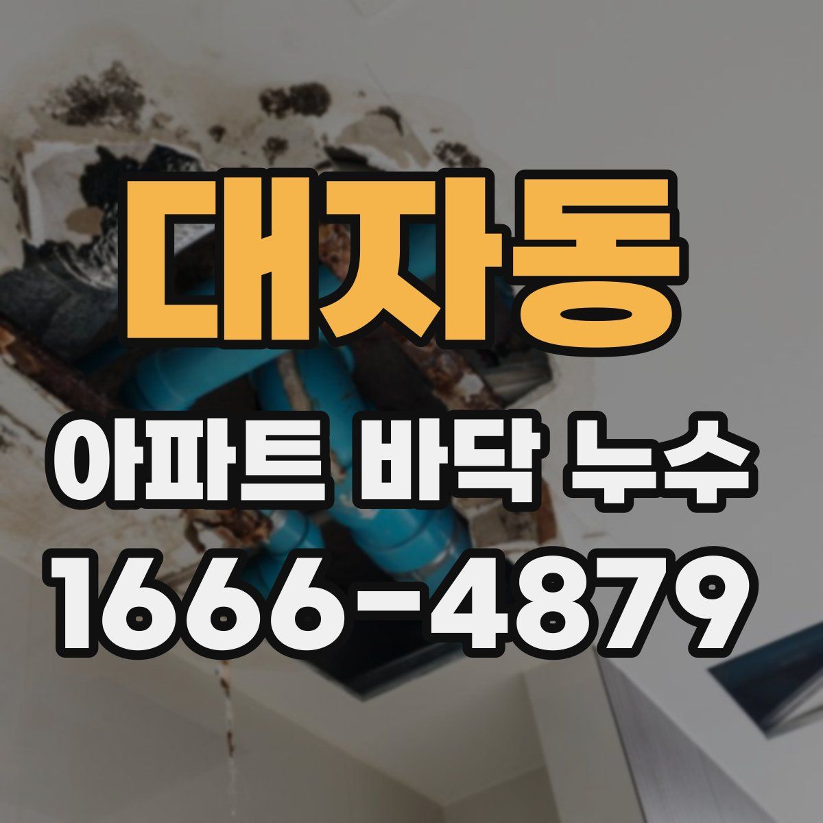 대자동 아파트 바닥 누수