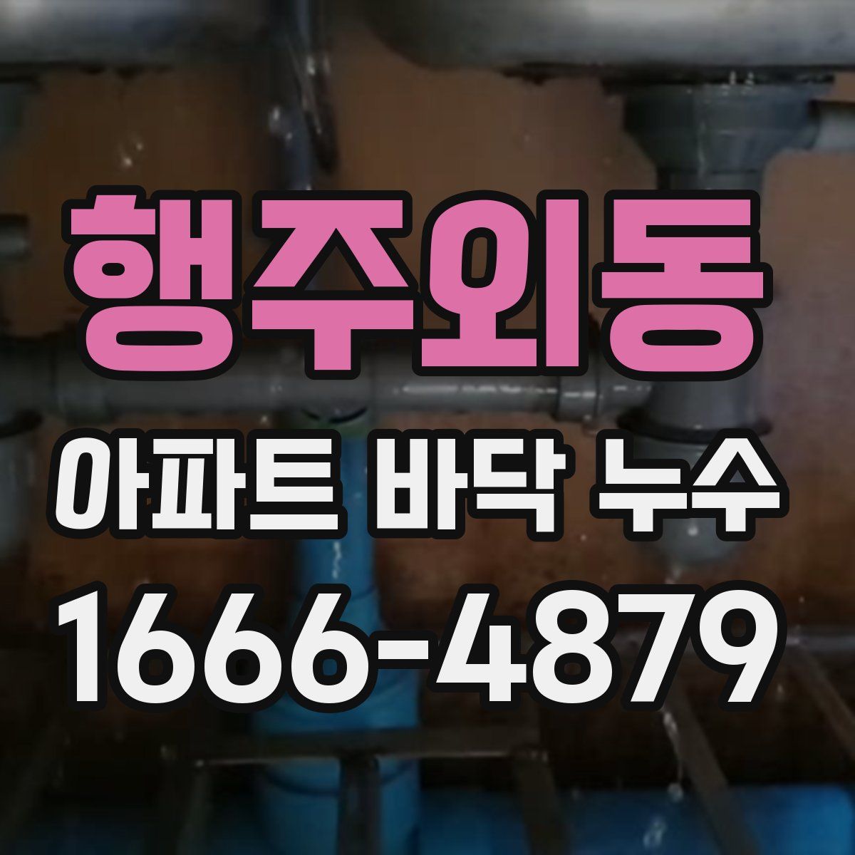 행주외동 아파트 바닥 누수
