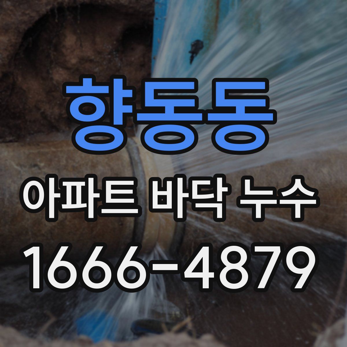 향동동 아파트 바닥 누수