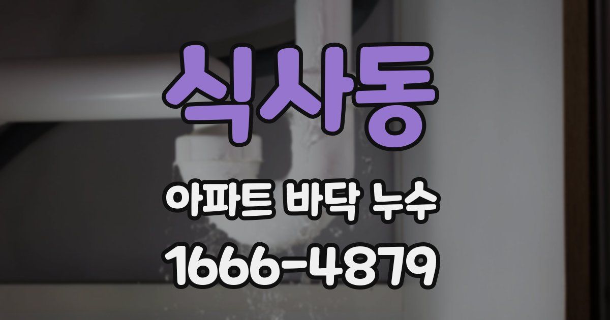 식사동 아파트 바닥 누수