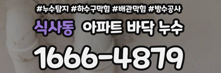 식사동 아파트 바닥 누수