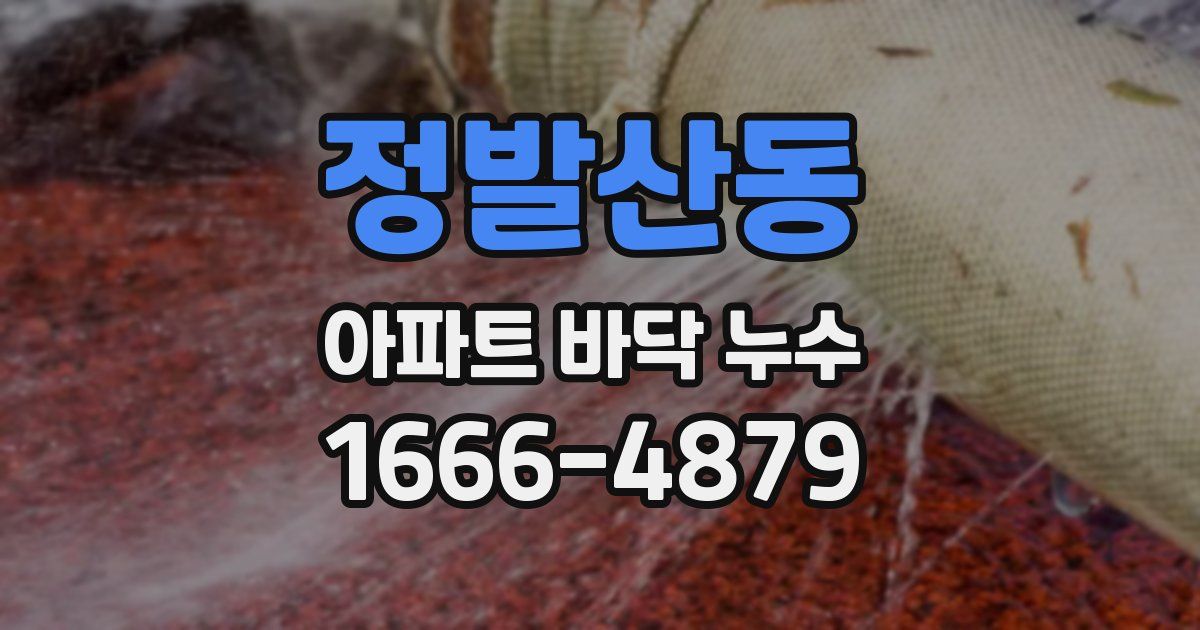 정발산동 아파트 바닥 누수