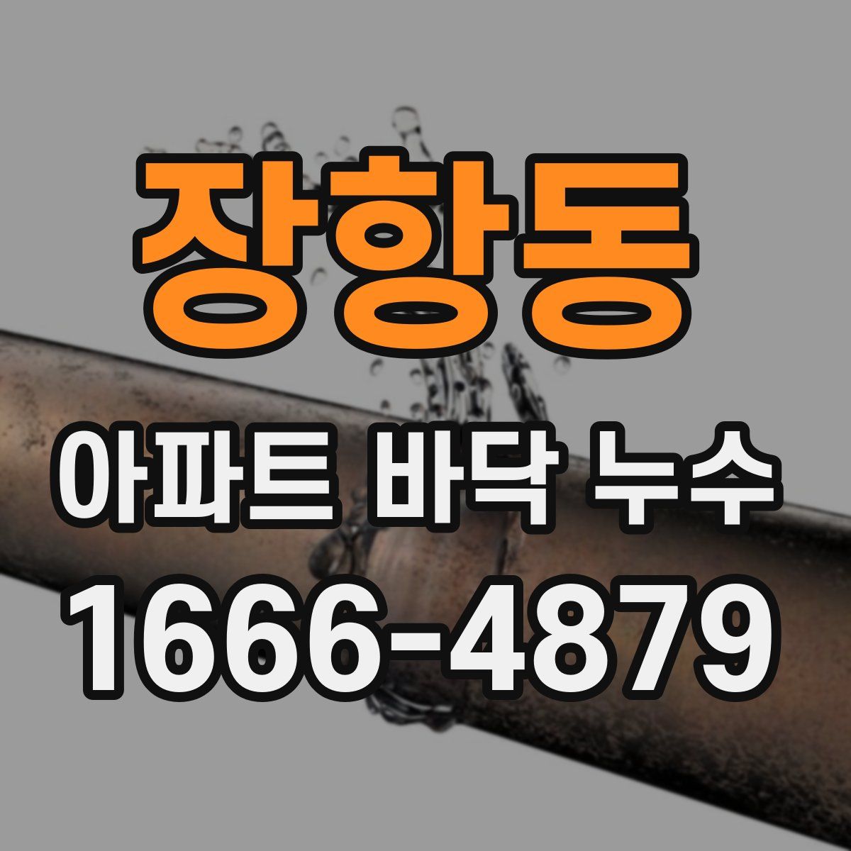 장항동 아파트 바닥 누수