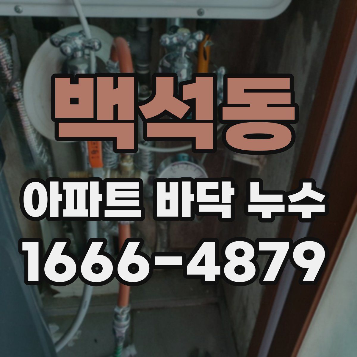 백석동 아파트 바닥 누수