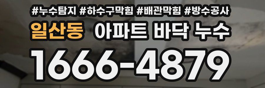 일산동 아파트 바닥 누수