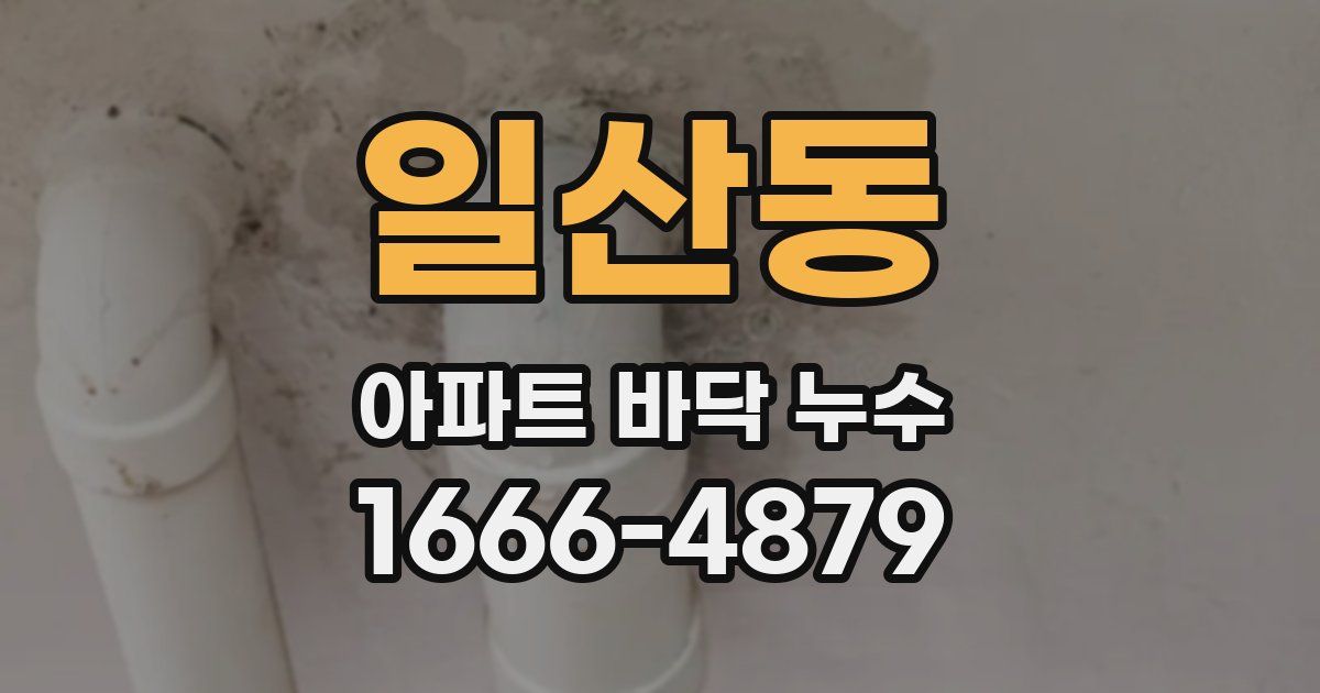 일산동 아파트 바닥 누수