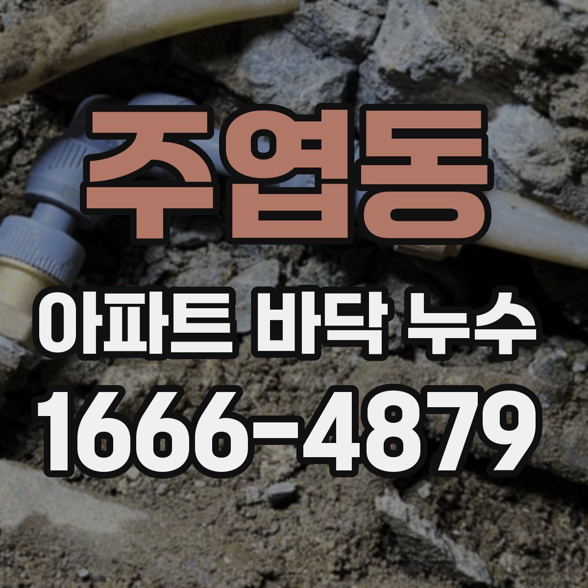 주엽동 아파트 바닥 누수