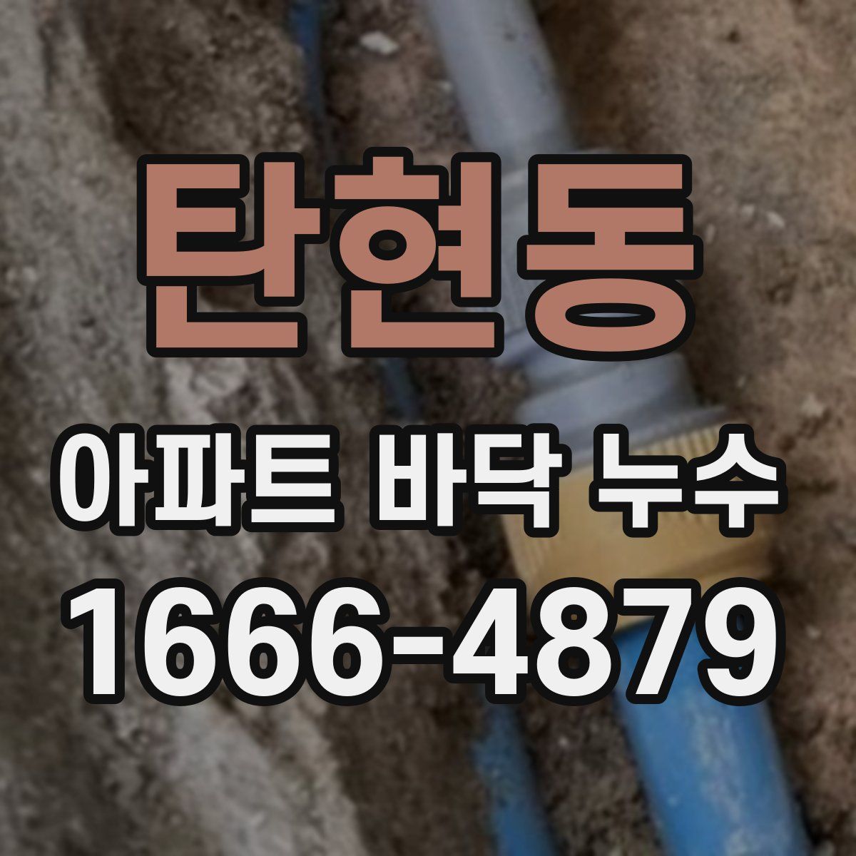 탄현동 아파트 바닥 누수