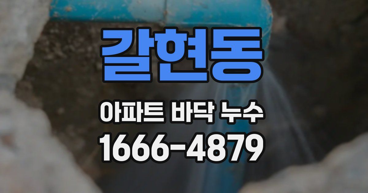 갈현동 아파트 바닥 누수