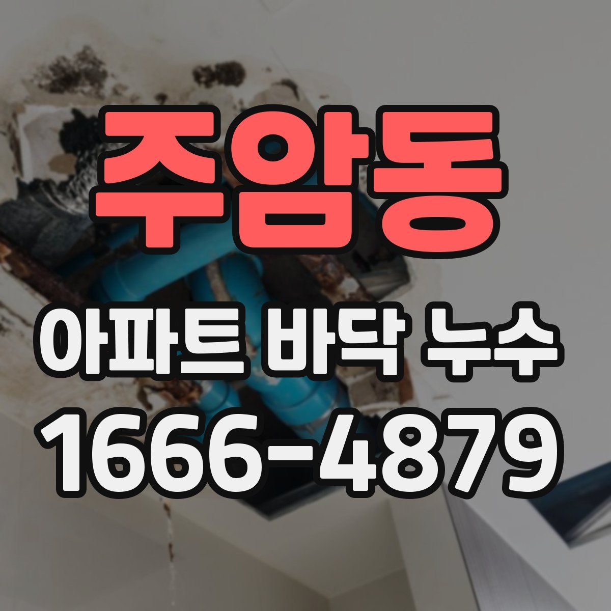 주암동 아파트 바닥 누수