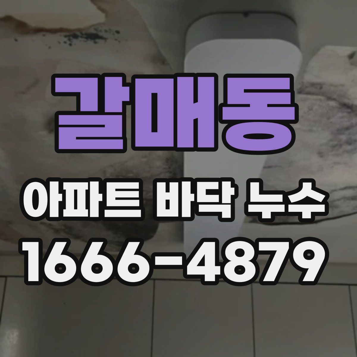 갈매동 아파트 바닥 누수